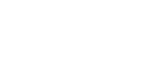 logo vivax